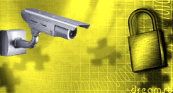 ELECTRONIC SECURITY ELECTRONIC SECURITY