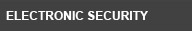 Electronic Security Electronic Security